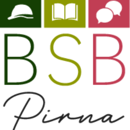 Logo BSB Pirna